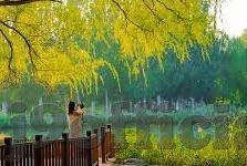 今天墨西哥足球比分-墨西哥足球风云,今日赛场比分全解析与深度洞察